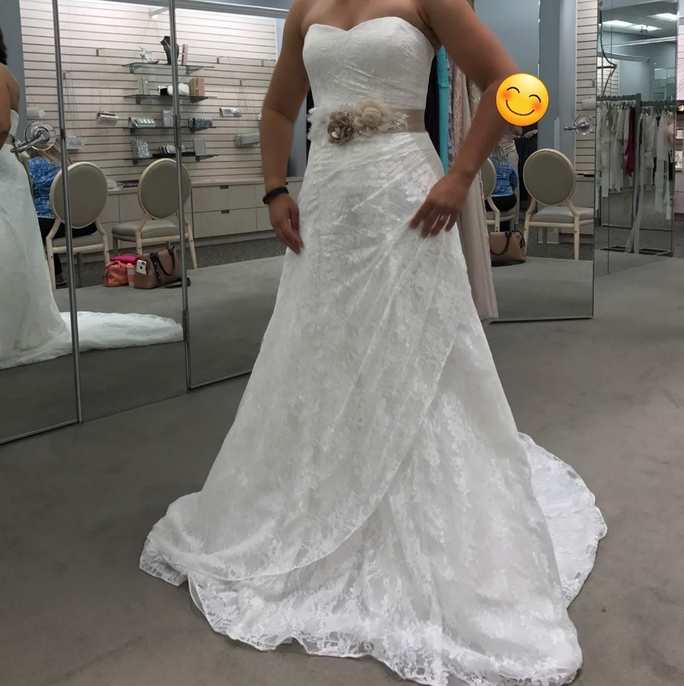 David's Bridal Allover Lace A-line Strapless Wedding Dress